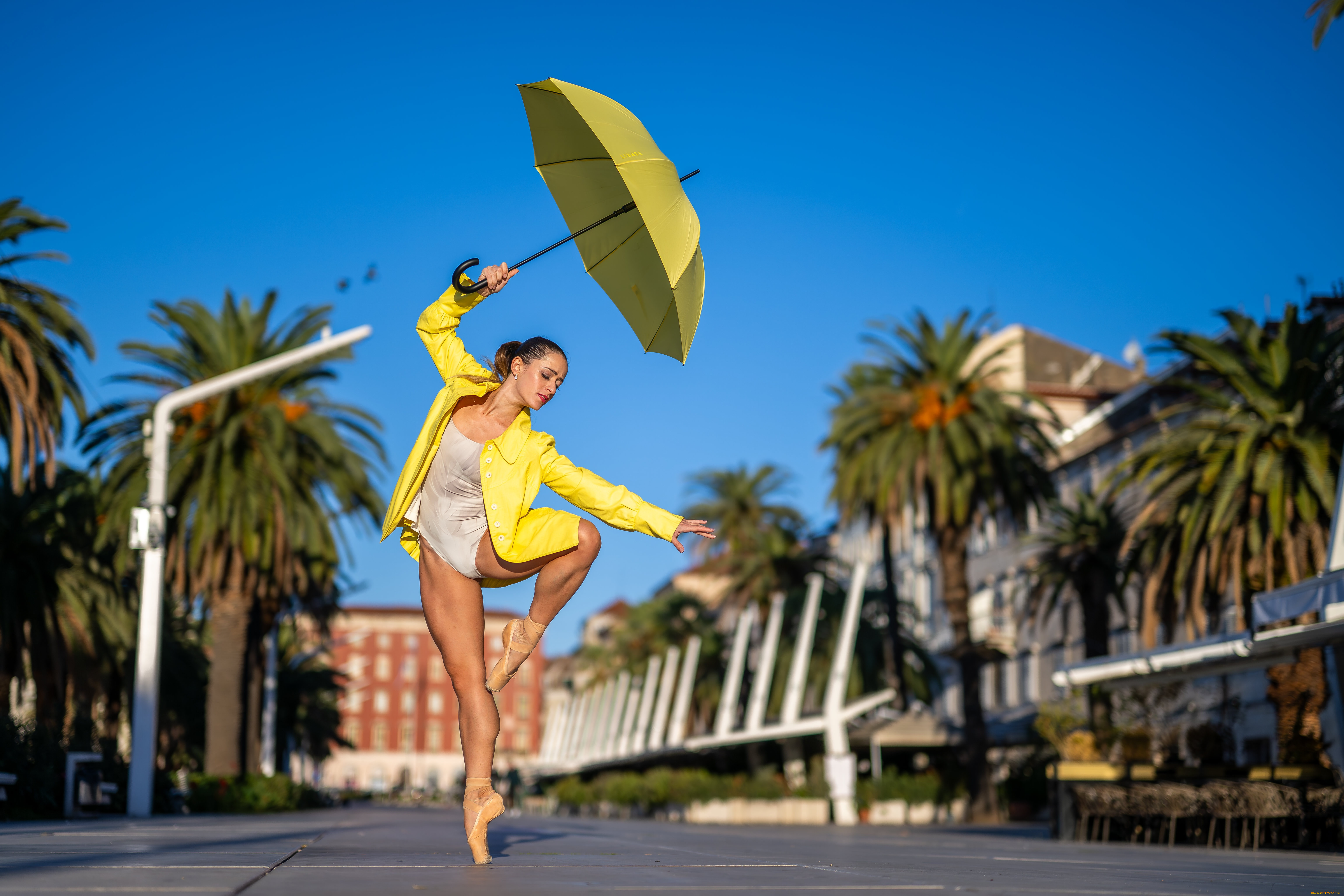 ����������� �������, �������, - ��������,  �������, �������, �������, ��������, ������������, �����������, ������, ������, ��������, ������, �����, �������, ��������, ������, ������, �����������, �����, �����, ������, ��������, �����, ����������, ������, �, ���������, ���������, ��, ����������